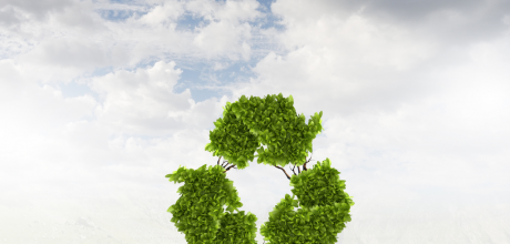 Como a reciclagem contribui para a preservação do meio ambiente de forma eficaz