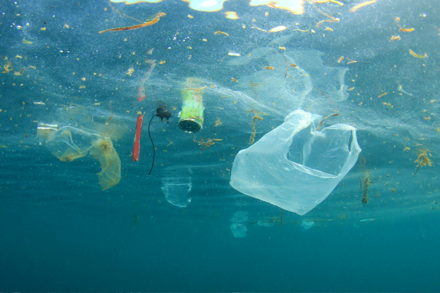 Como a reciclagem ajuda a reduzir o lixo nos oceanos