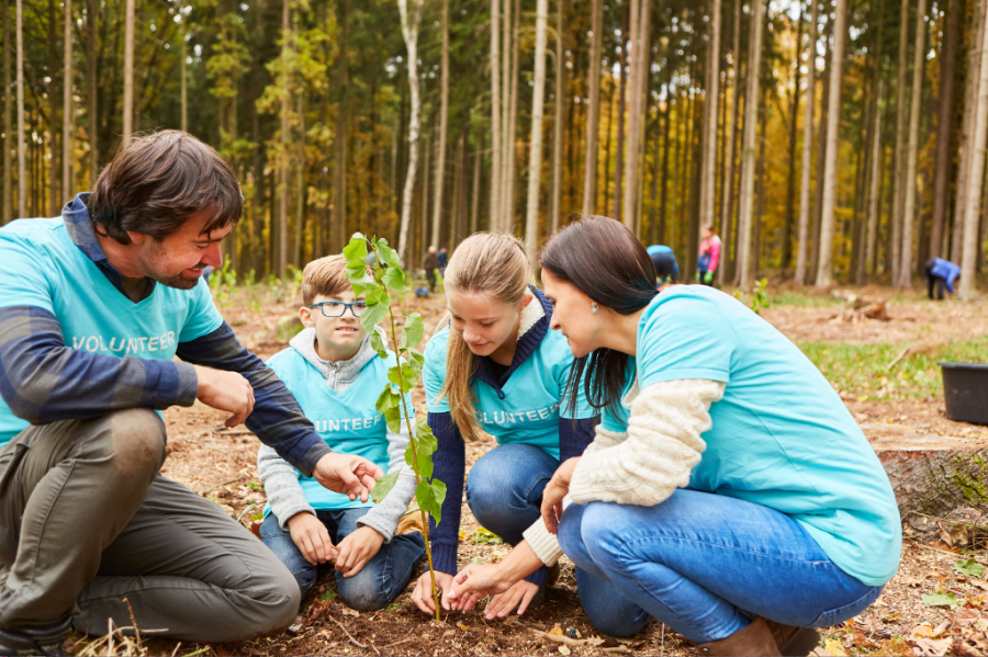 Como a educação ambiental influencia na prática da reciclagem e sustentabilidade