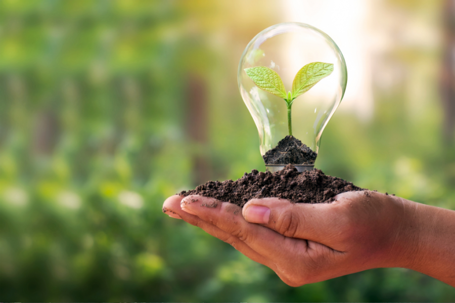 Como a reciclagem contribui para reduzir a poluição e proteger o meio ambiente
