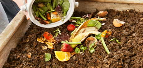 Como fazer compostagem caseira