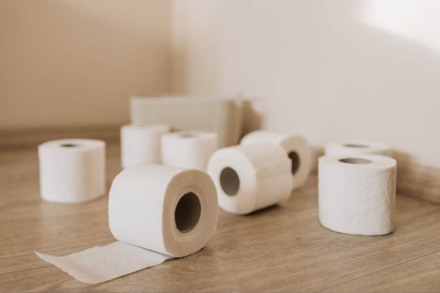 Como descartar papel higiênico de forma sustentável e reduzir seu impacto ambiental