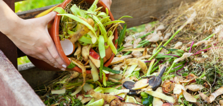 Como funciona a reciclagem de resíduos orgânicos e seus benefícios