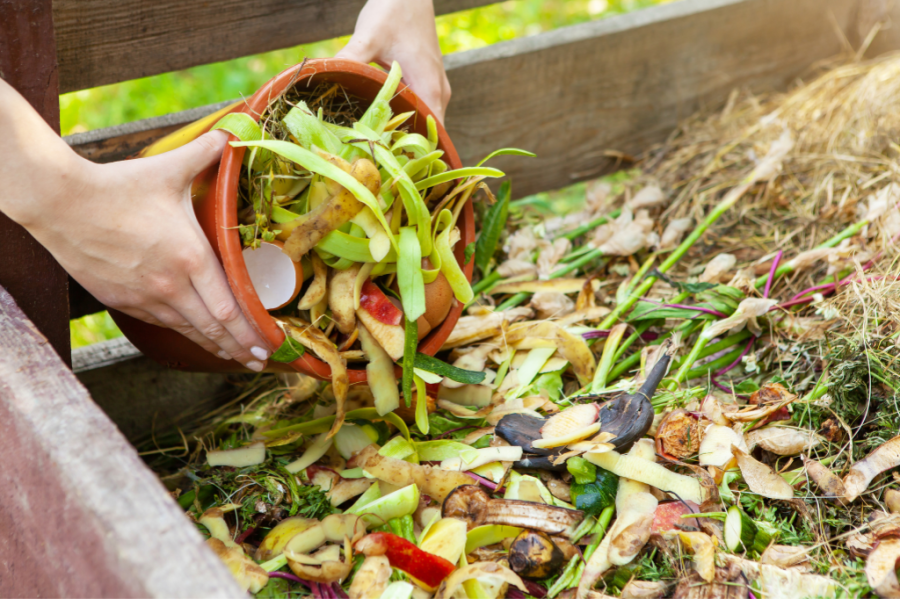 Como funciona a reciclagem de resíduos orgânicos e seus benefícios