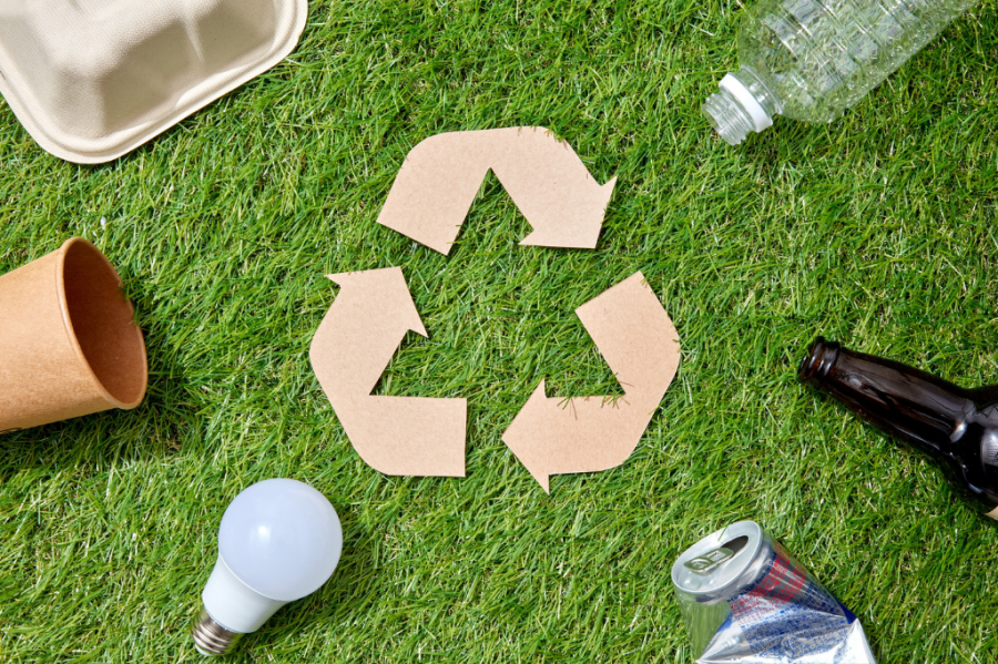 Como funcionam as cooperativas de reciclagem e seu impacto ambiental