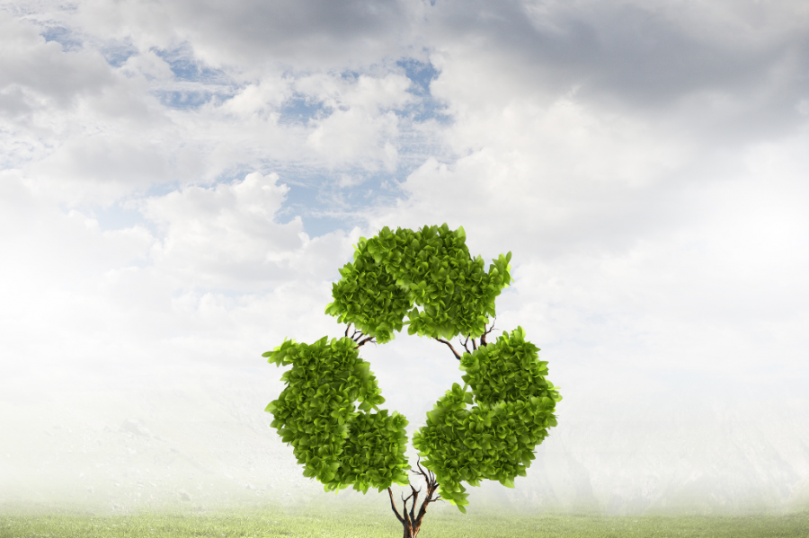 Como a reciclagem pode transformar o seu dia a dia de forma sustentável